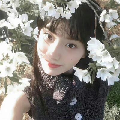 小狗丹的物语